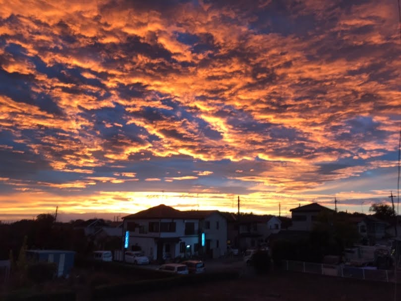 f:id:asuka201011:20201124075521j:plain