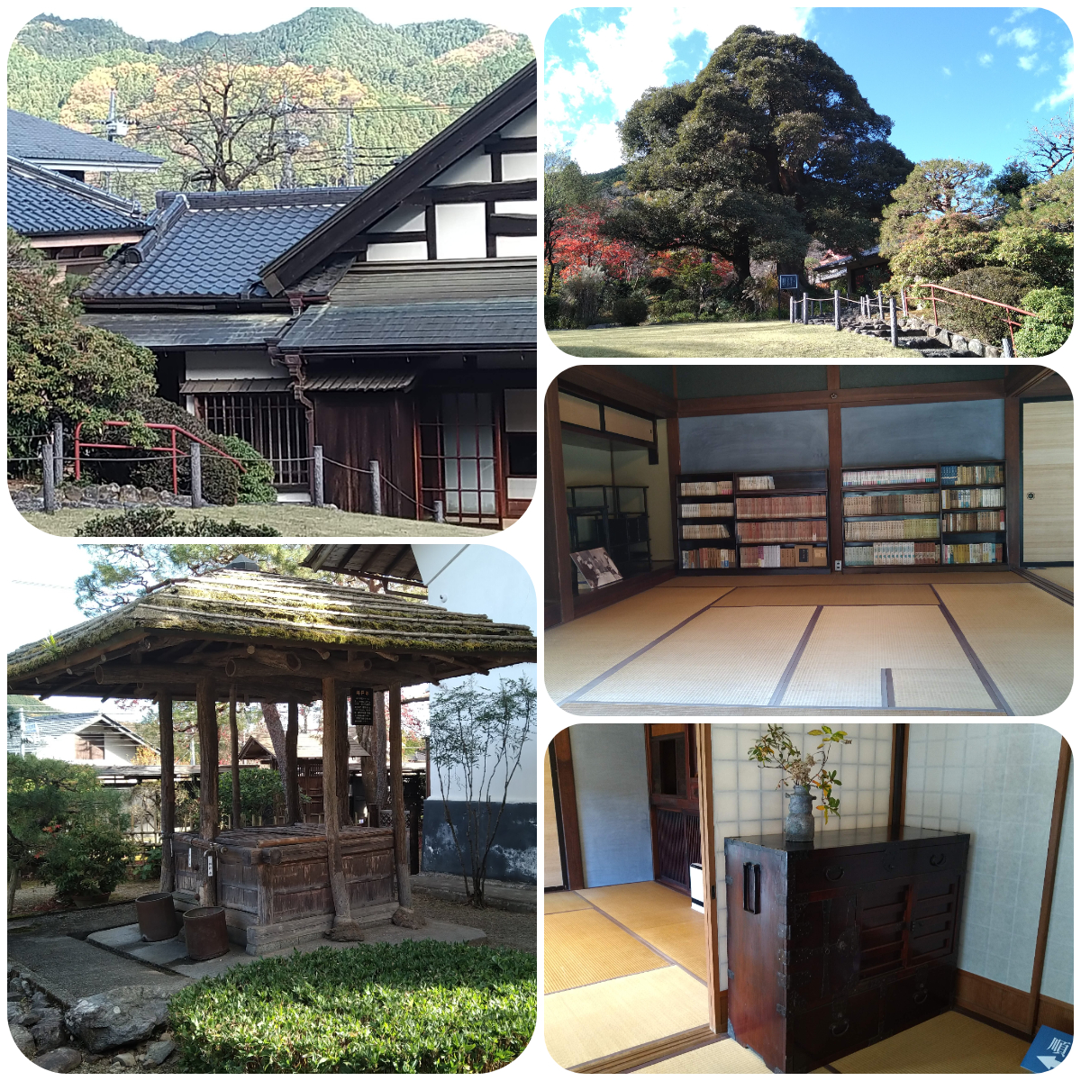 f:id:asuka201011:20201129185805j:plain