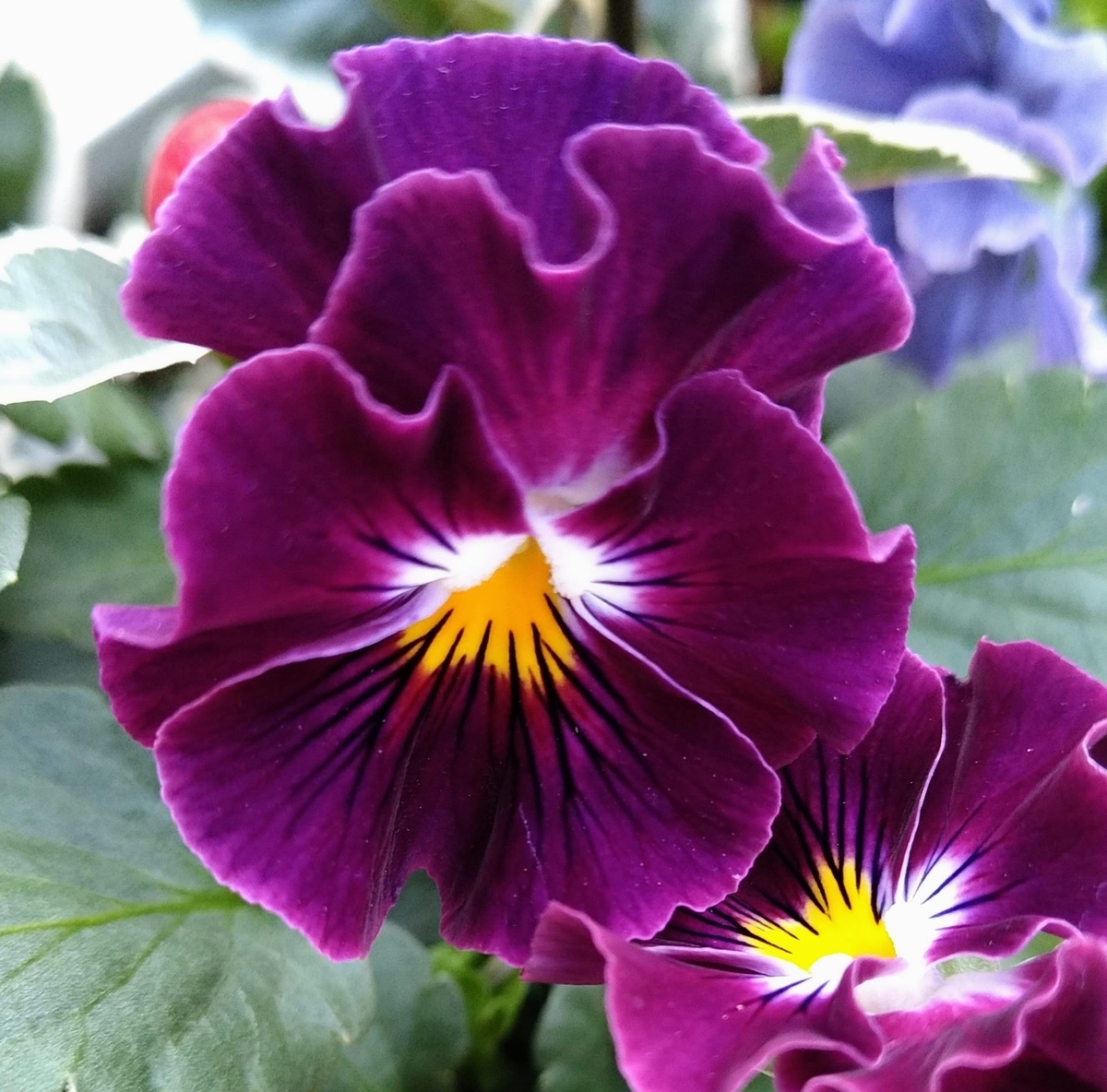 f:id:asuka201011:20201204112539j:plain