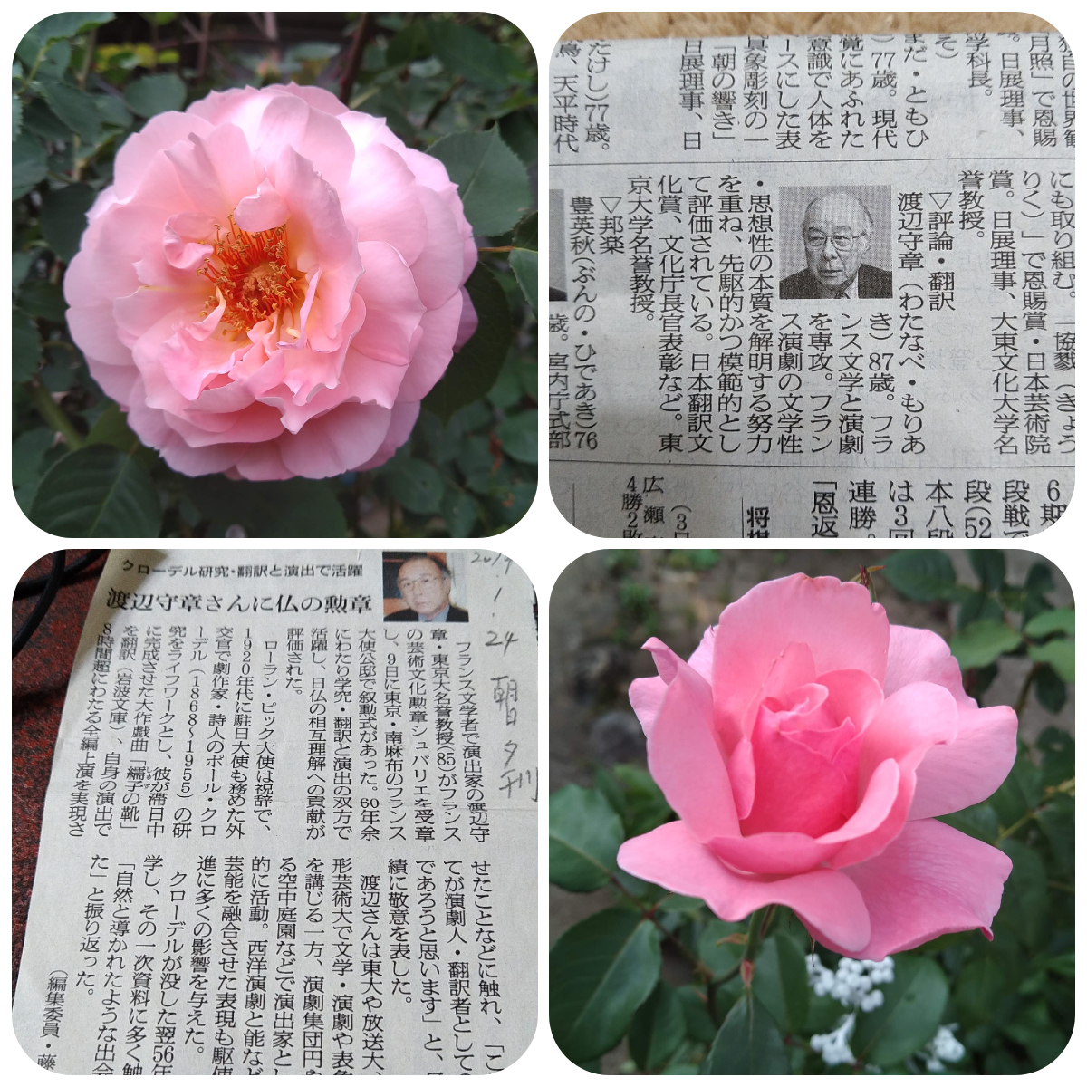 f:id:asuka201011:20201206205643j:plain