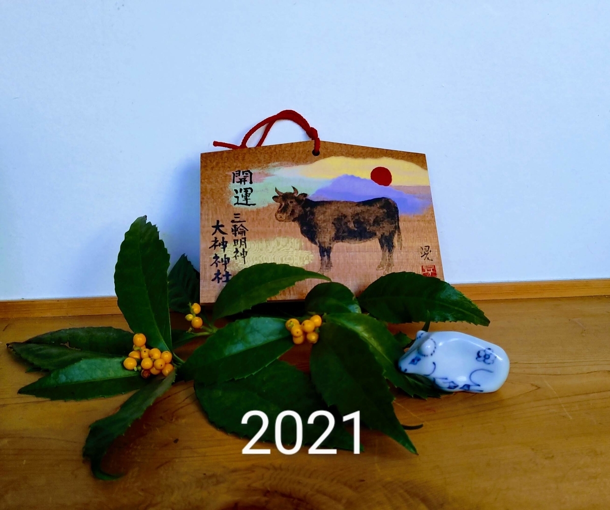 f:id:asuka201011:20210101092753j:plain