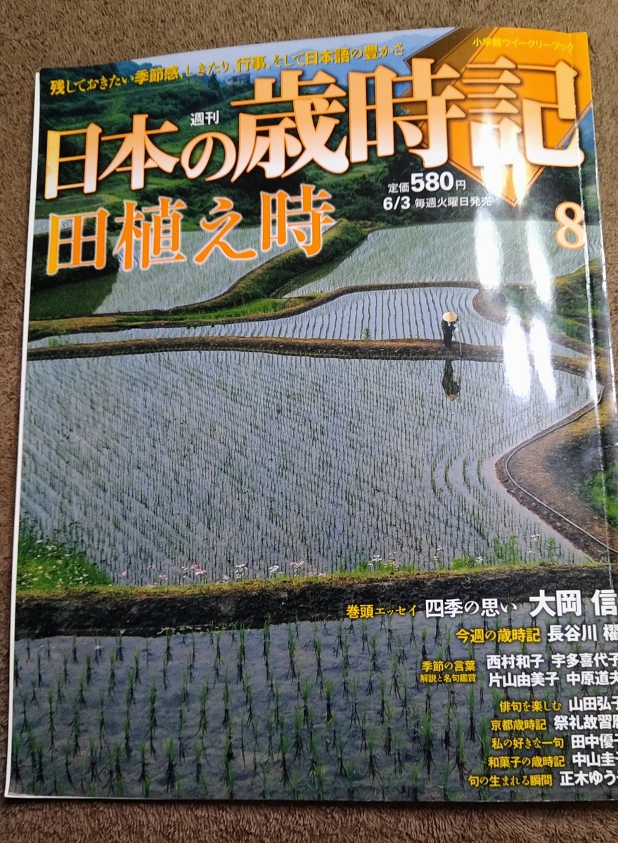 f:id:asuka201011:20210102220459j:plain