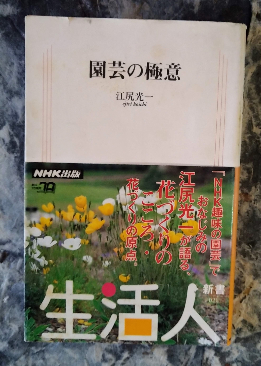 f:id:asuka201011:20210110092259j:plain