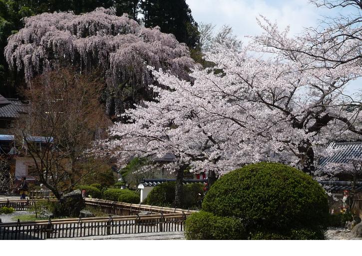 f:id:asuka201011:20210119172727j:plain