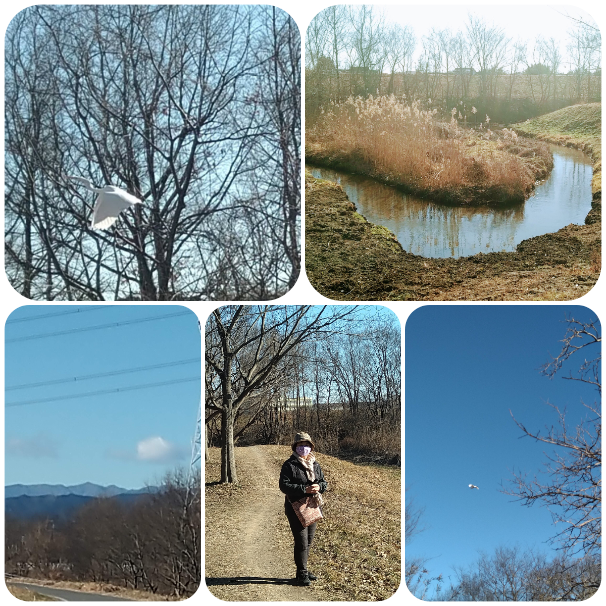 f:id:asuka201011:20210119194544j:plain