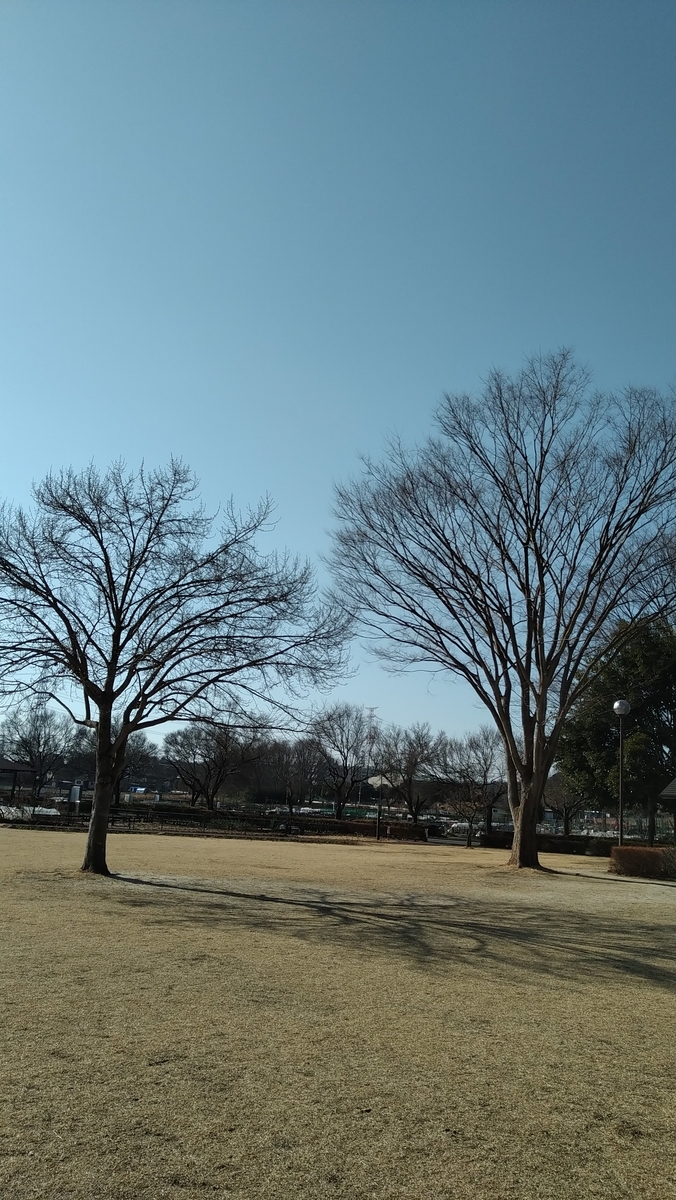 f:id:asuka201011:20210207100155j:plain