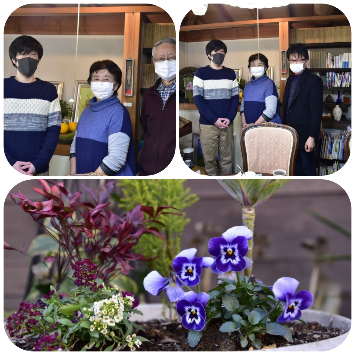 f:id:asuka201011:20210207165347j:plain