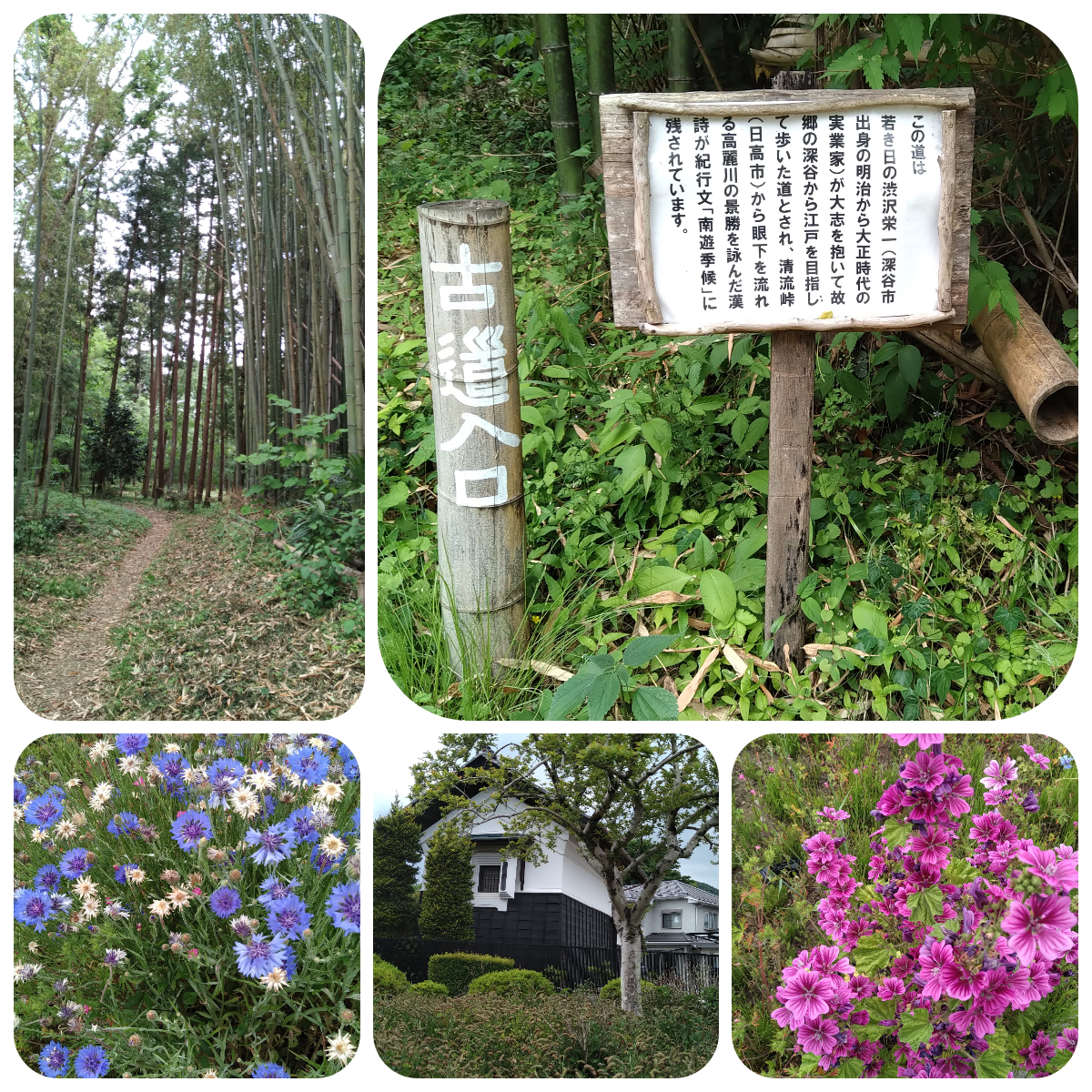 f:id:asuka201011:20210517144204j:plain
