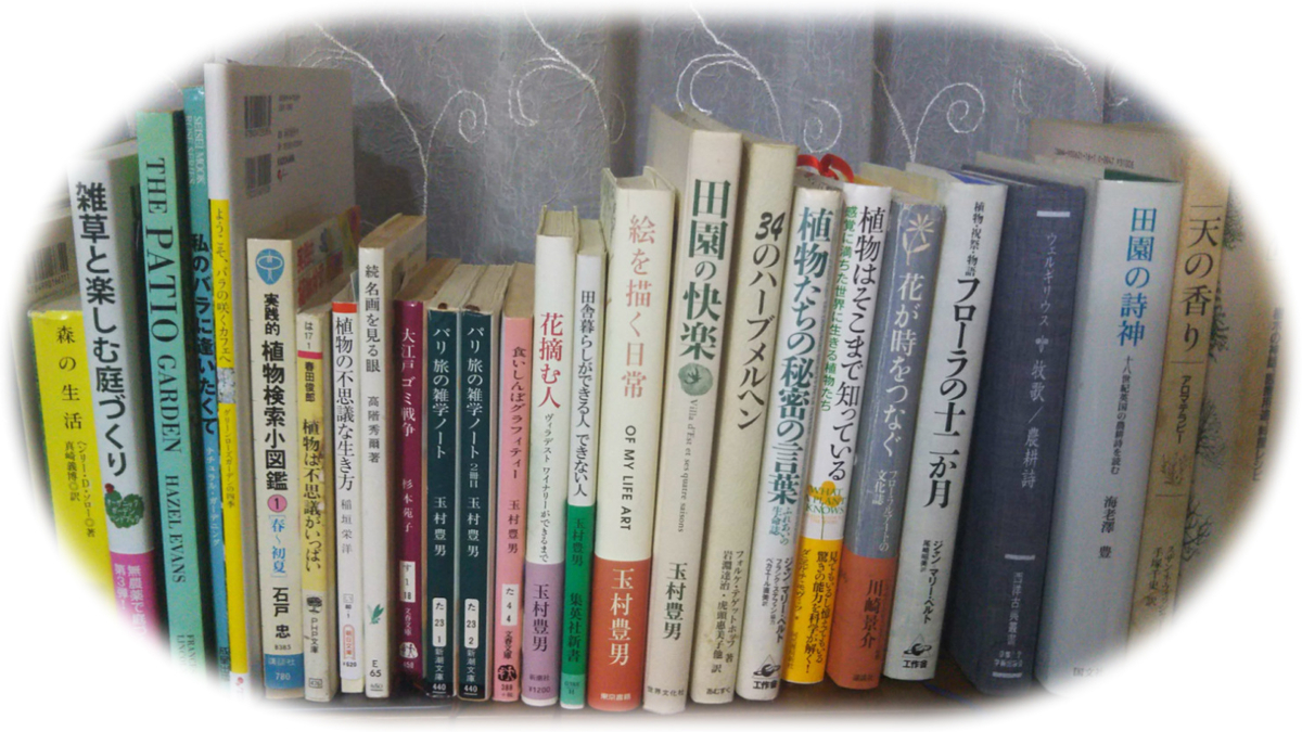 f:id:asuka201011:20210605093936j:plain