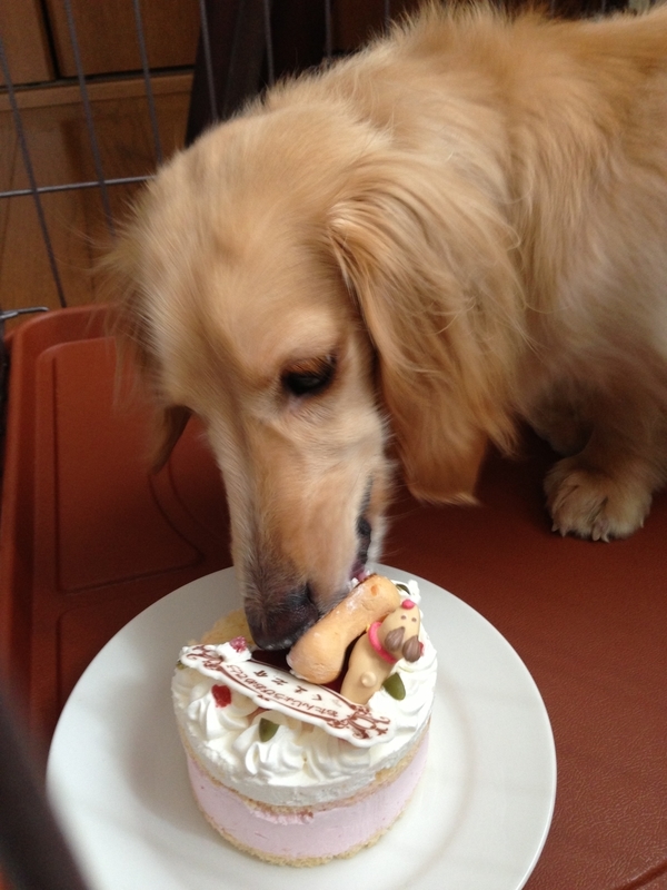 f:id:asuka620724:20200210143736j:plain