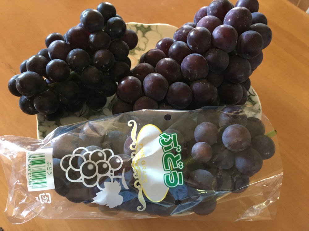 f:id:asukacchikun:20170905154036j:plain f:id:asukacchikun:20170905154036j:plain
