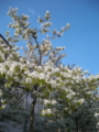 20100415165049