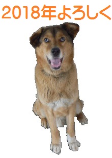 f:id:asukarukun:20171224201126j:plain