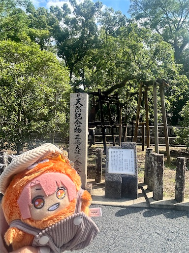 f:id:asukasaku:20240921174651j:image f:id:asukasaku:20240921174651j:image