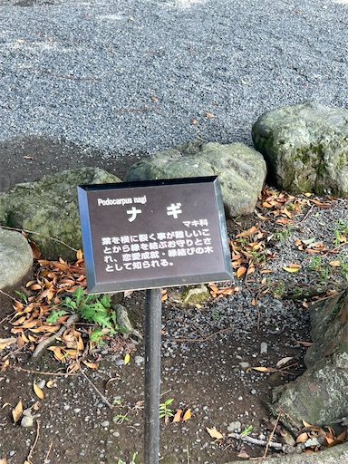 f:id:asukasaku:20240921174739j:image f:id:asukasaku:20240921174739j:image