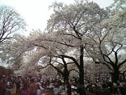 f:id:asukatan:20070402014859j:image