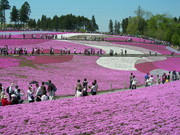 f:id:asukatan:20070430122347j:image
