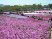 f:id:asukatan:20070430122433j:image