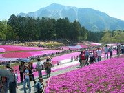 f:id:asukatan:20070430123023j:image