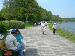 f:id:asukatan:20070505122329j:image
