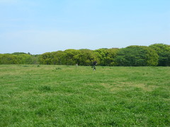 f:id:asukatan:20070505124301j:image