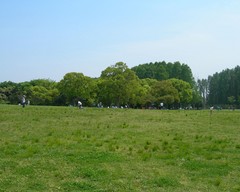 f:id:asukatan:20070507231748j:image