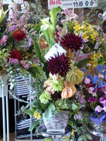 f:id:asukatan:20080224124306j:image