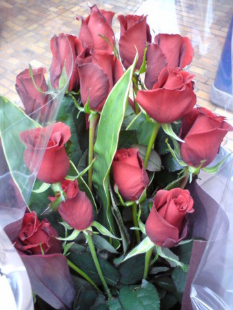 f:id:asukatan:20090110144110j:image