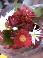 f:id:asukatan:20090301175843j:image f:id:asukatan:20090301175843j:image
