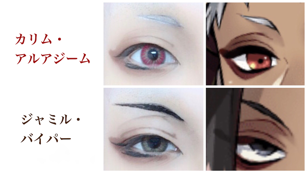 ツイステッドワンダーランド全寮生アイメイクしてみた コスプレイヤーの好きなことを好きなだけ
