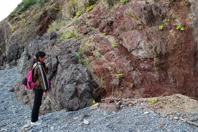 f:id:asukay:20091201215549j:image f:id:asukay:20091201215549j:image