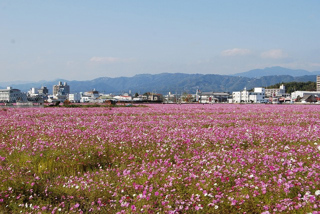 f:id:asukay:20091204223346j:image f:id:asukay:20091204223346j:image