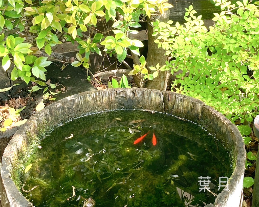 f:id:asukaze827:20240515124754j:image