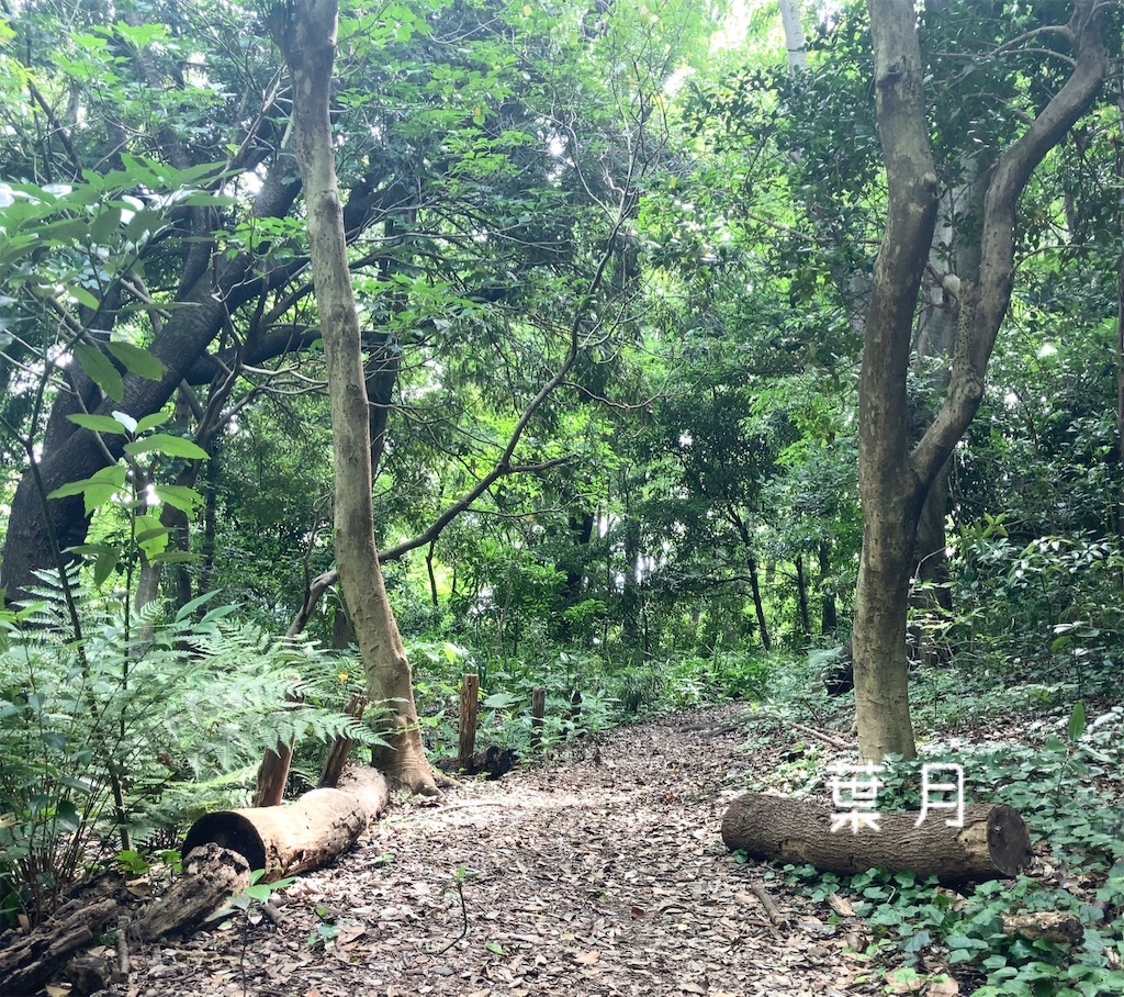 f:id:asukaze827:20240620184931j:image