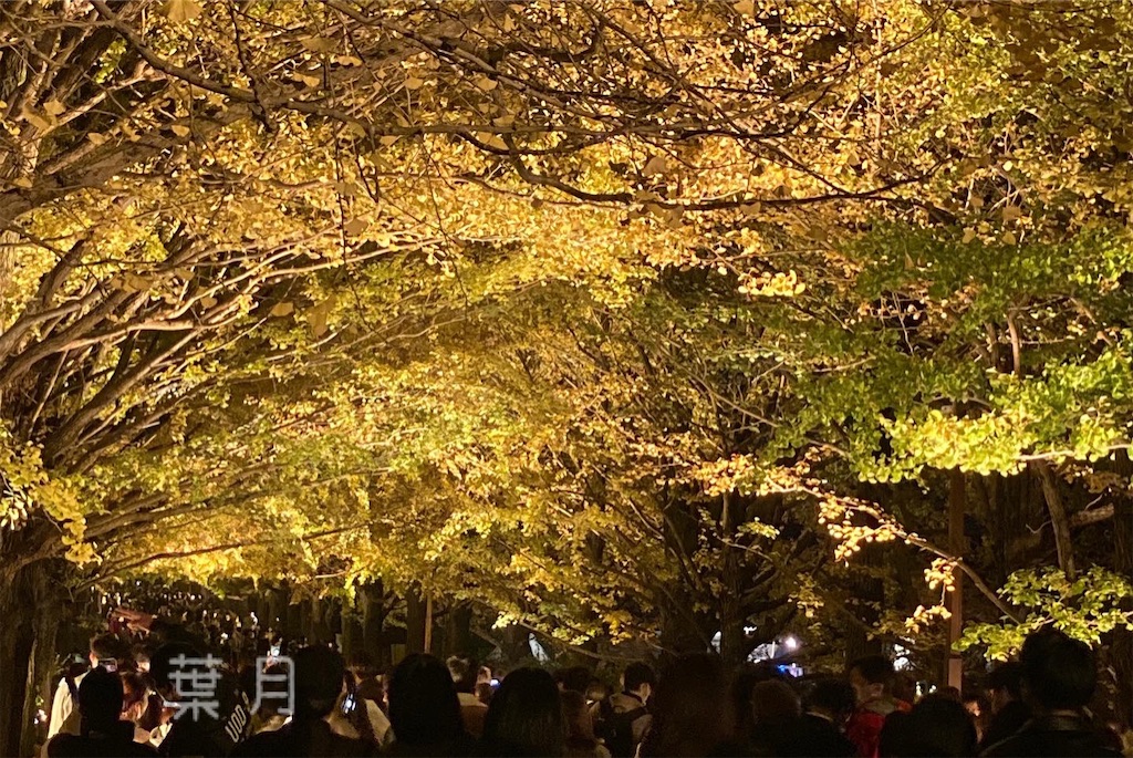 f:id:asukaze827:20241129190130j:image