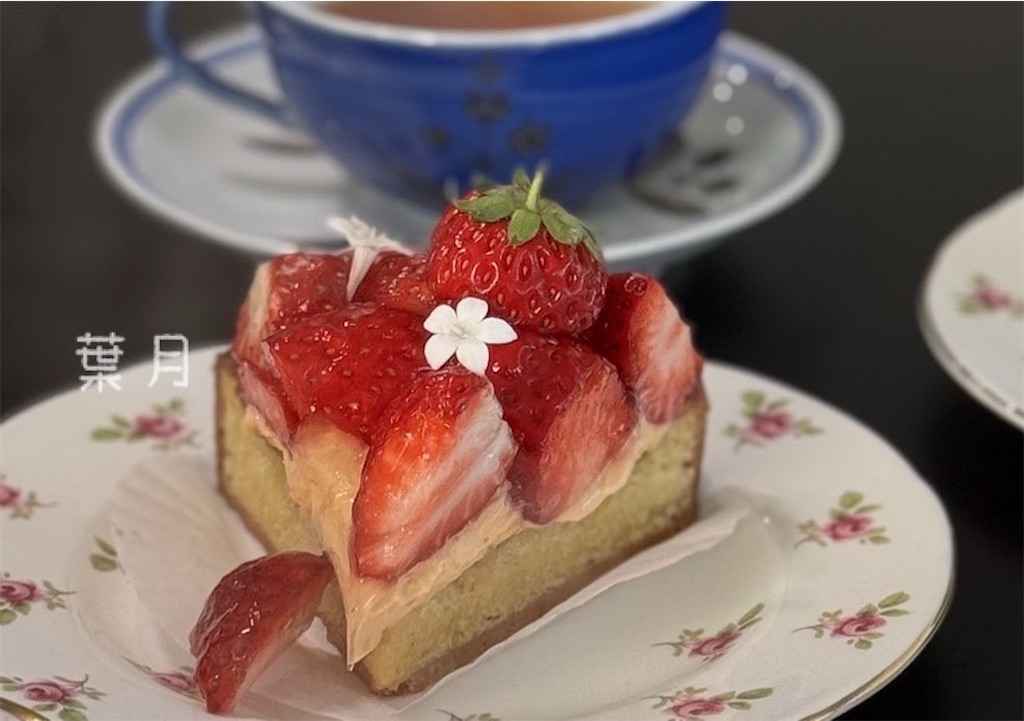 f:id:asukaze827:20250217113935j:image