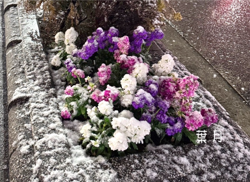 f:id:asukaze827:20250310123330j:image