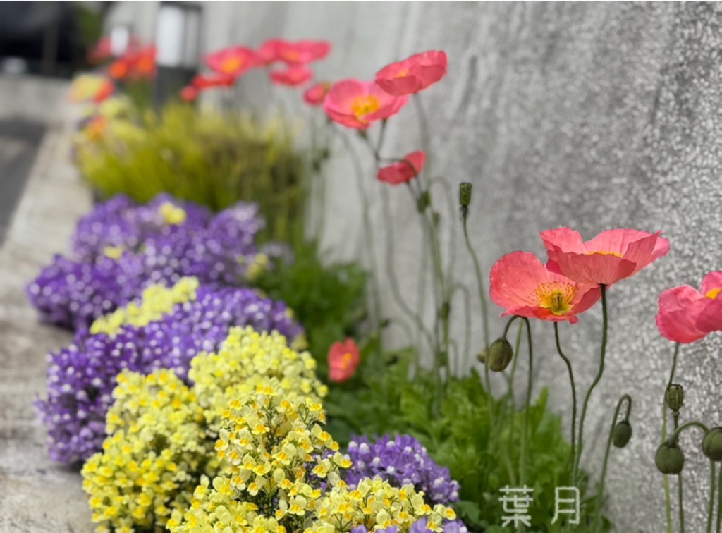 f:id:asukaze827:20250426063929j:image