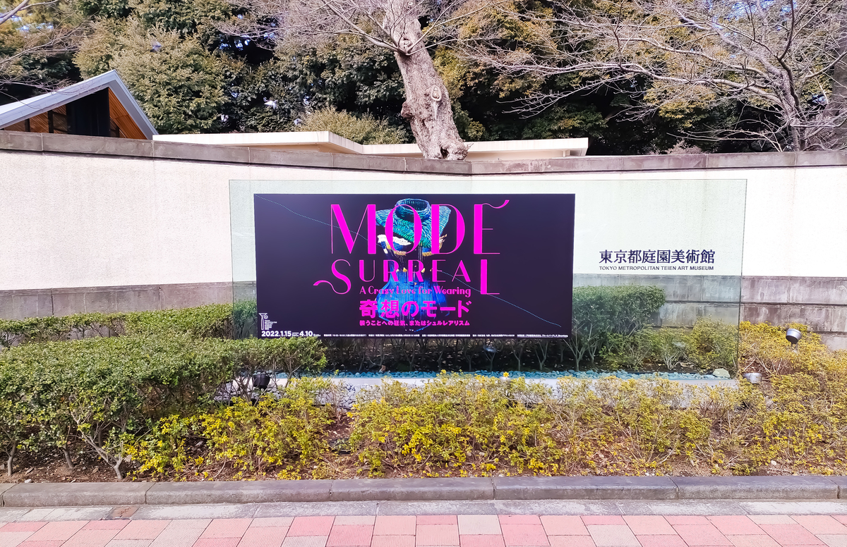 f:id:asuku_yo:20220219124634j:plain