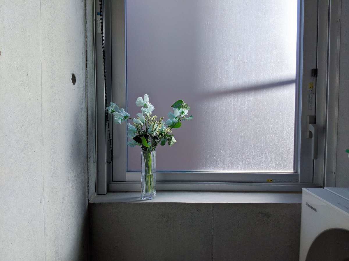 f:id:asuku_yo:20220306111355j:plain