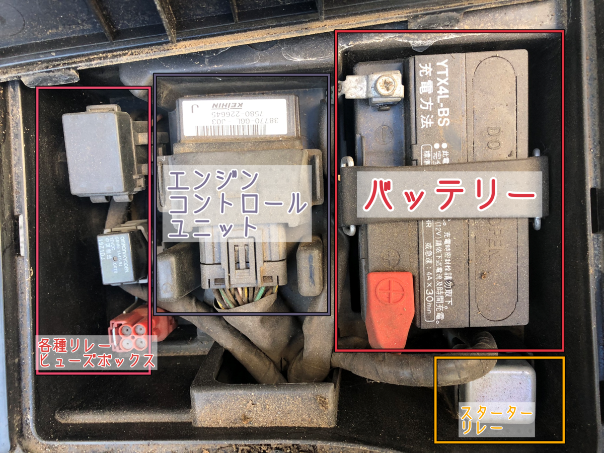 ホンダ ジョルノ(AF70)】原付整備記録 バッテリー交換(2度目) - それ程