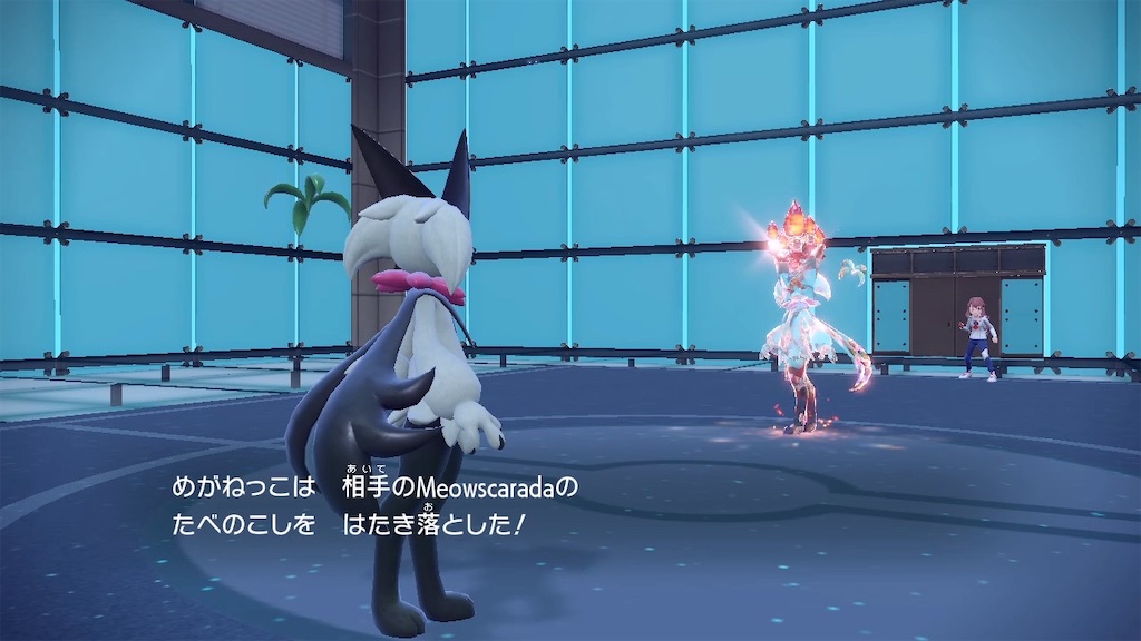 f:id:asumi10313:20240218020604j:image f:id:asumi10313:20240218020604j:image