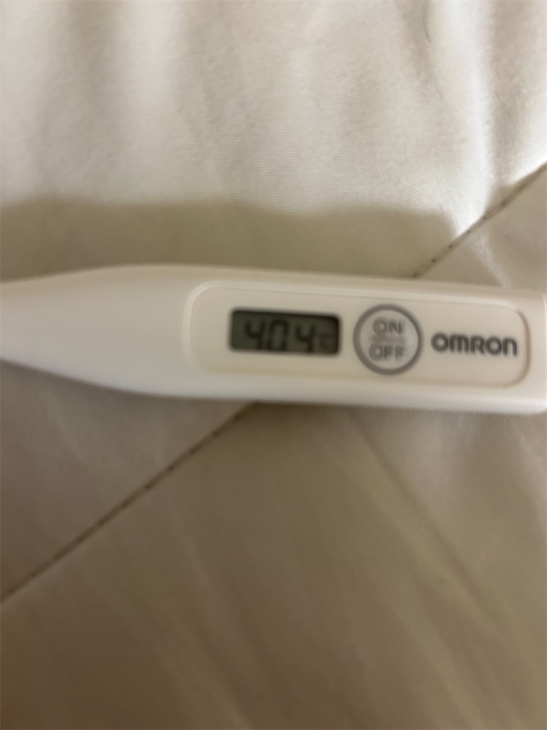 f:id:asumi10313:20250102162131j:image f:id:asumi10313:20250102162131j:image