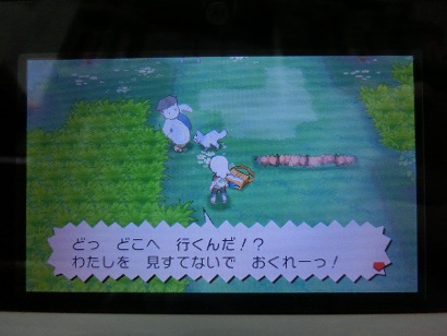 初めてのポケモン ポケモンサーチ そしてカナズミシティへ Diversified Tastes Irregularly 初めてのポケモン ポケモンサーチ そしてカナズミシティへ Diversified Tastes Irregularly