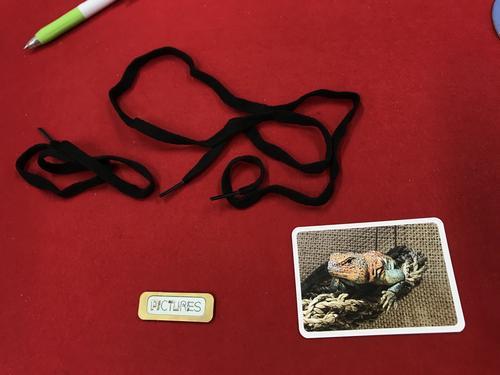 f:id:asuna1111:20201114113610j:plain