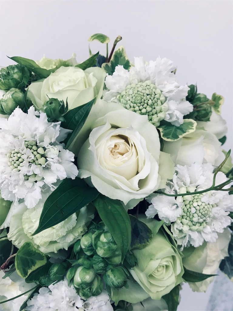 スカビオサの特徴とドライフラワー - はなめも。～花屋のメモ帳～