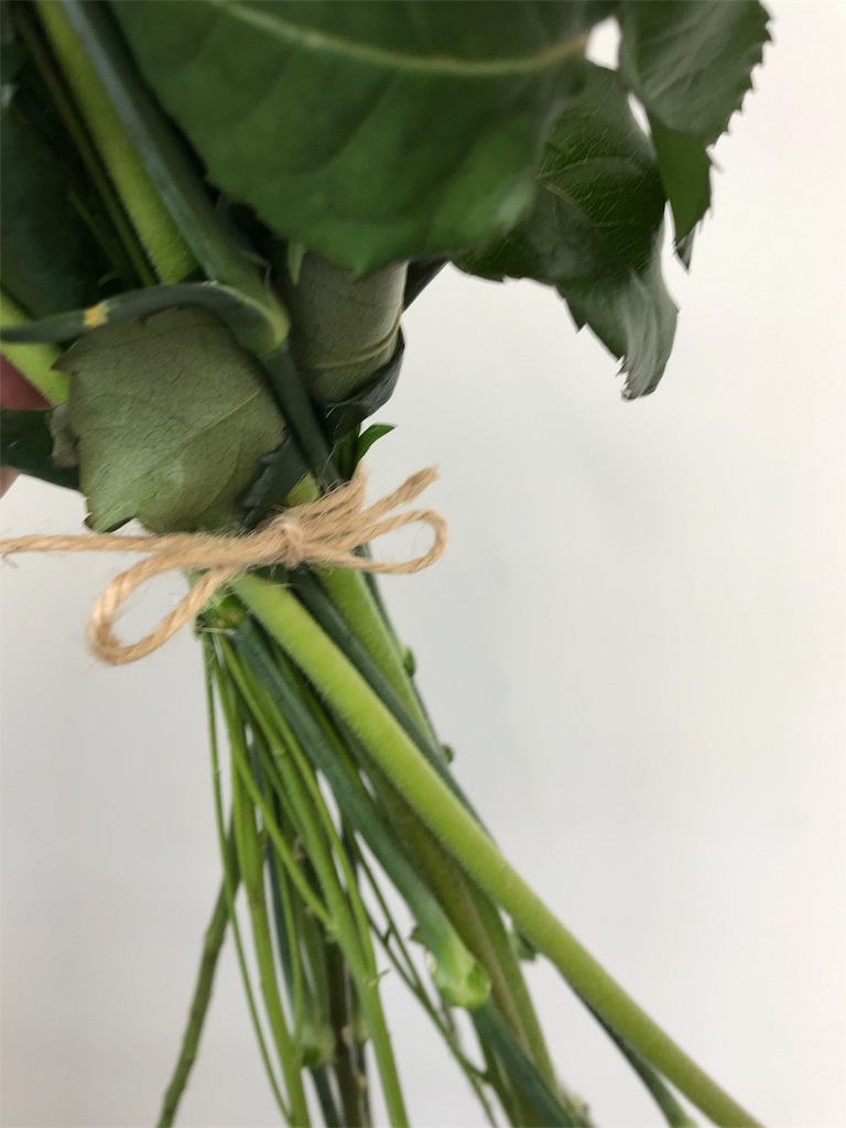 f:id:asunaro-flower:20190516121047j:image f:id:asunaro-flower:20190516121047j:image