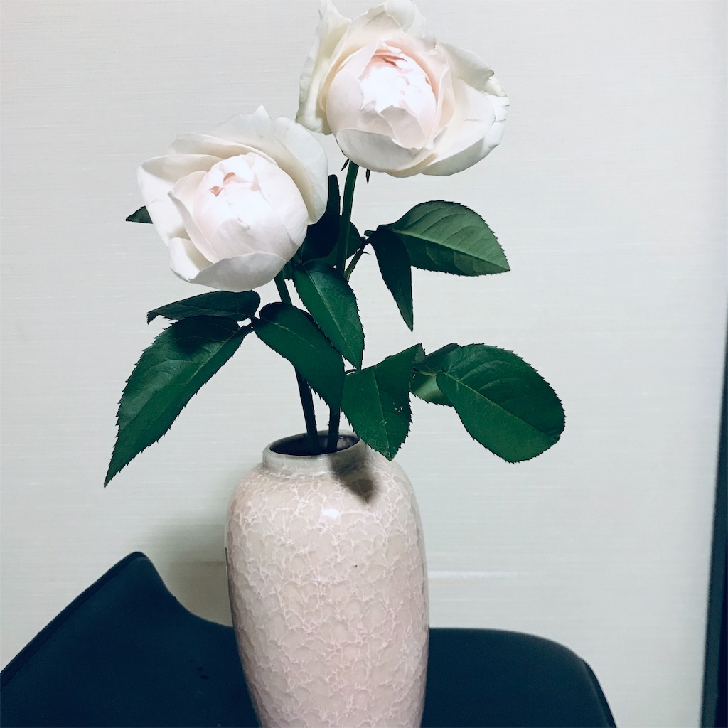 f:id:asunaro-flower:20190516121416j:image f:id:asunaro-flower:20190516121416j:image