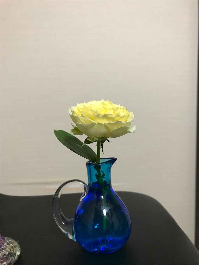 f:id:asunaro-flower:20190516233108j:image f:id:asunaro-flower:20190516233108j:image