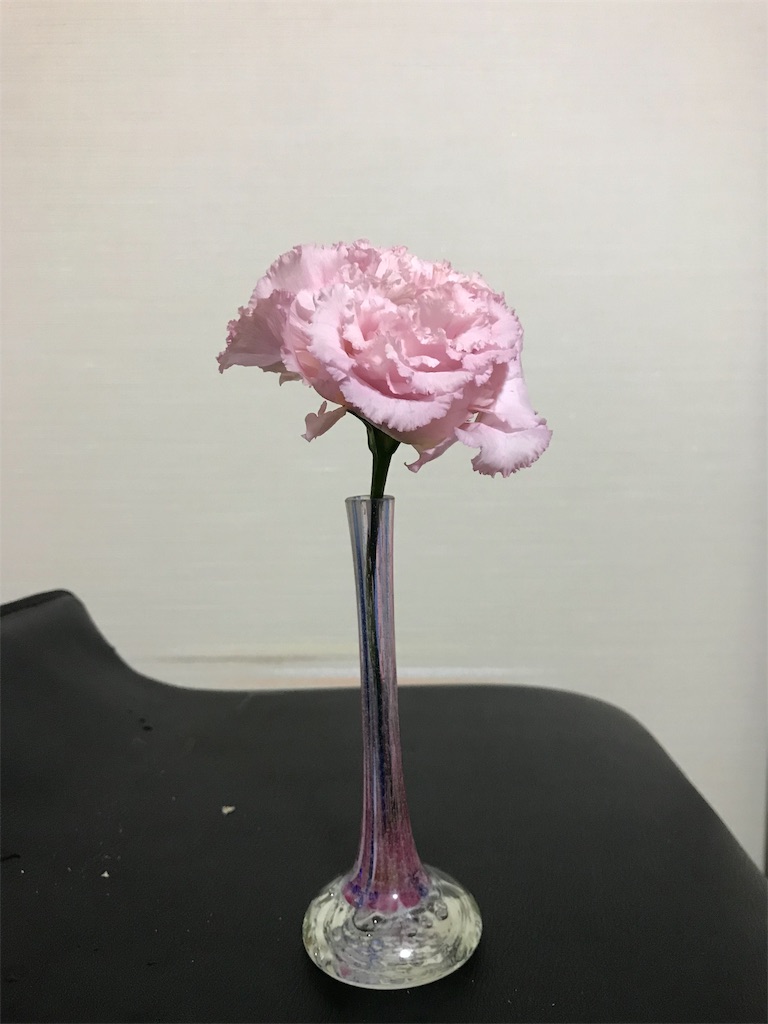 f:id:asunaro-flower:20190516233111j:image f:id:asunaro-flower:20190516233111j:image